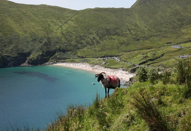 Best Local Swimming Spots in Ireland: Hidden Gems & Scenic Routes