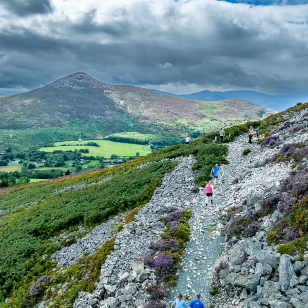 Wicklow Hills, Co. Wicklow