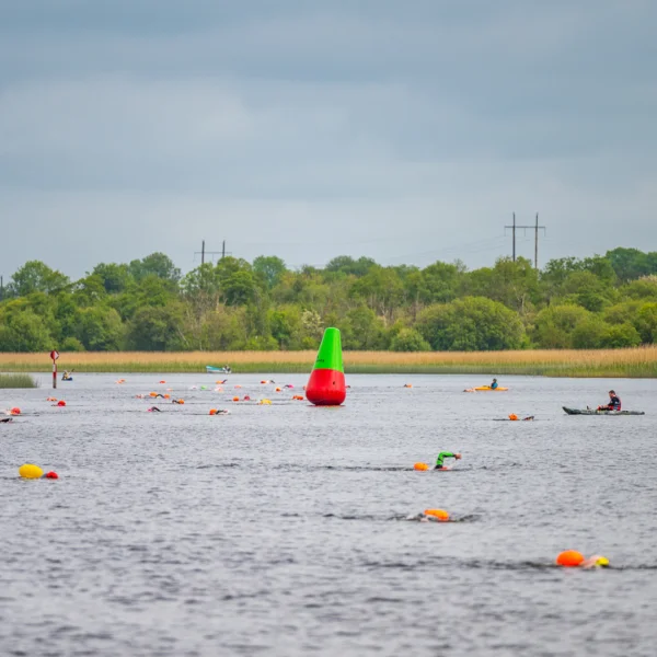  River Shannon, Co. Longford