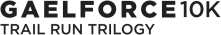 Gaelforce 10K Bray