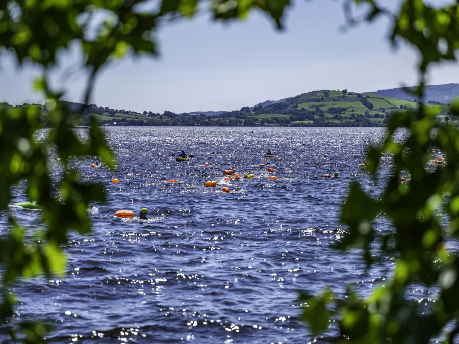 Water Wellness Activities