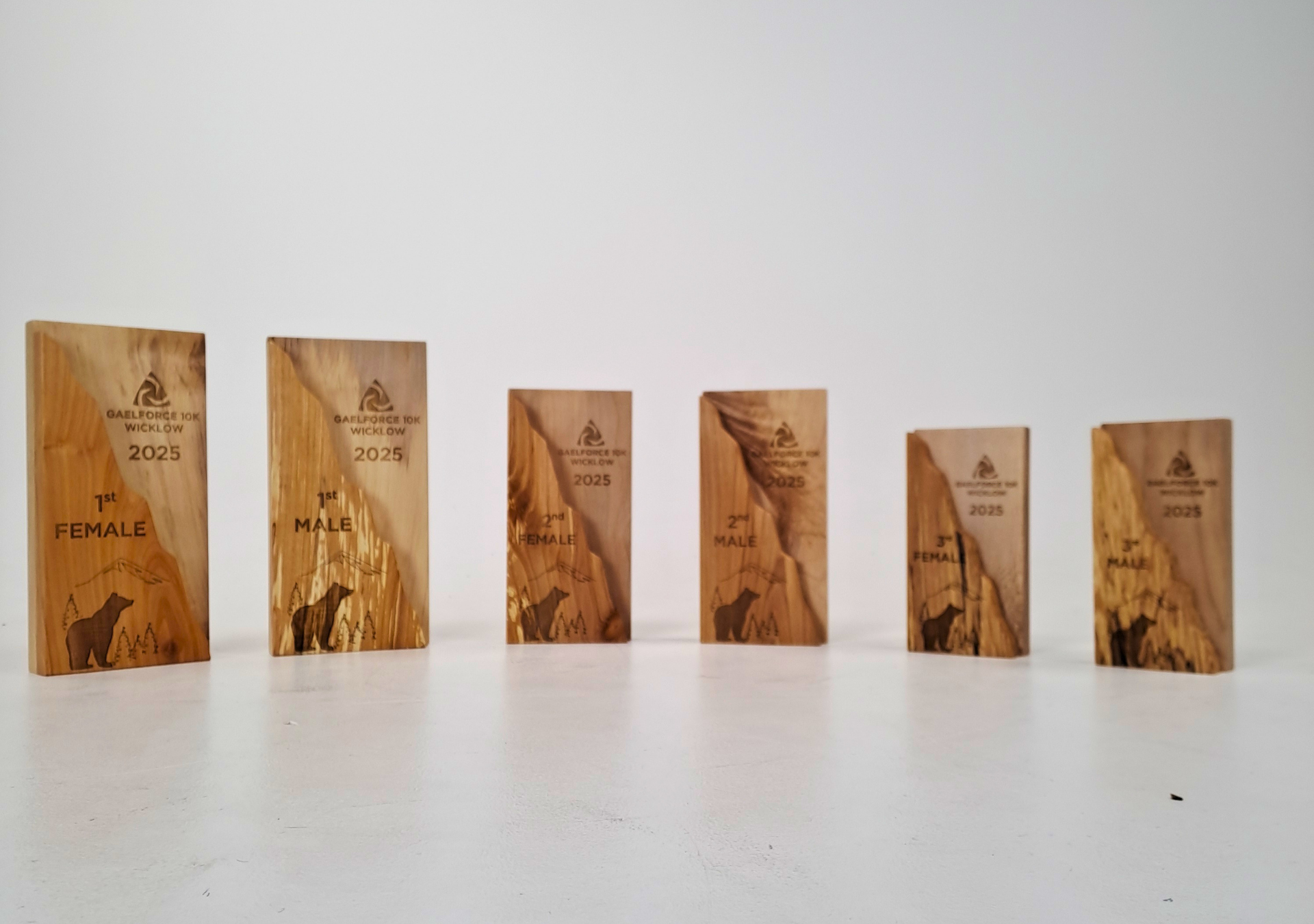 Finished Gaelforce 10K Wicklow wooden trophies displayed together
