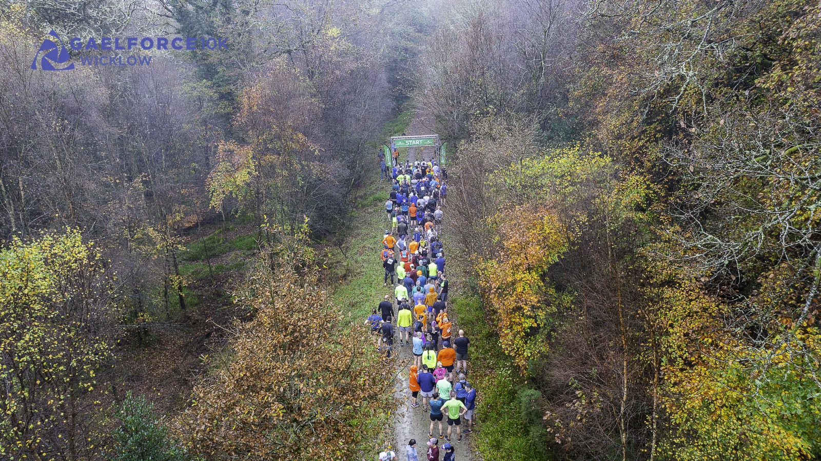running in the woods